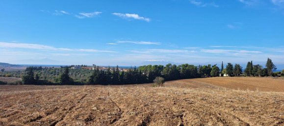  قطعة أرض في Chalkidiki, Greece 13600متر مربع رقم 93962 5