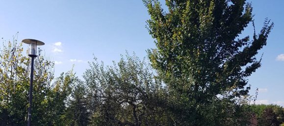 Terrain à La Cour-Marigny, France 1313m² No. 104466 8