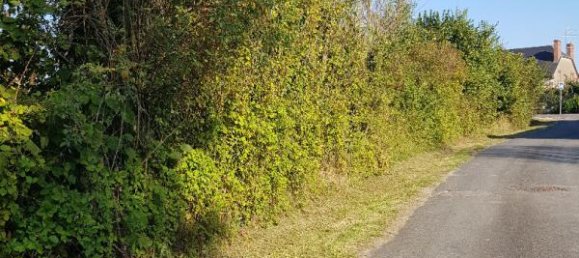 Terrain à La Cour-Marigny, France 1313m² No. 104466 6