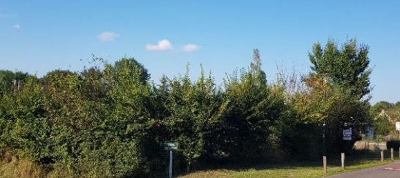 Terrain à La Cour-Marigny, France 1313m² No. 104466 5