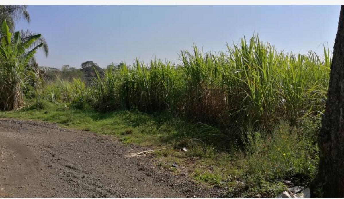 Земельный участок в Веракрус, Мексика № 206063