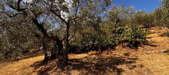 2 Schlafzimmer Haus in Perugia, Italy, Nr. 260812 27