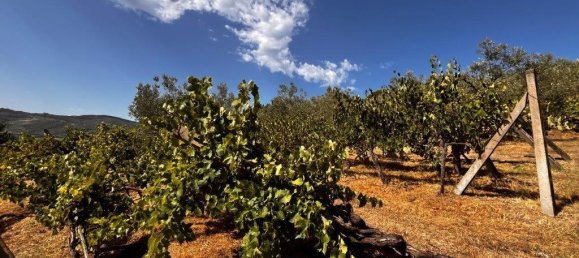 2 Schlafzimmer Haus in Perugia, Italy, Nr. 260812 29