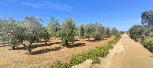 Land in Ugento, Italy No. 342905 8
