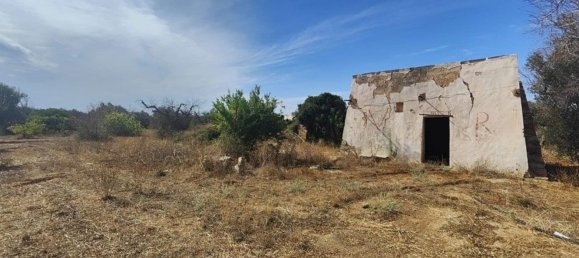 Land in Ugento, Italy No. 342905 2