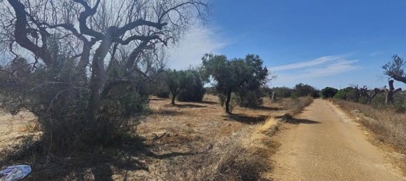 Land in Ugento, Italy No. 342905 7