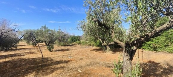 Land in Ugento, Italy No. 342905 19