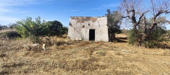 Land in Ugento, Italy No. 342905 3