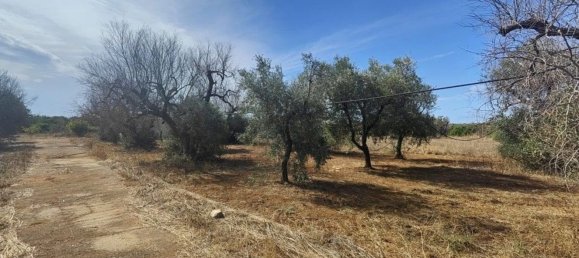 Land in Ugento, Italy No. 342905 6