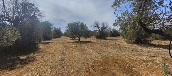 Land in Ugento, Italy No. 342905 16