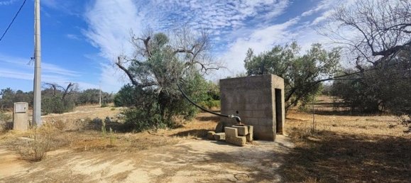 Land in Ugento, Italy No. 342905 9