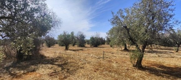 Land in Ugento, Italy No. 342905 20