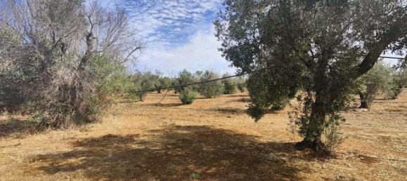 Land in Ugento, Italy No. 342905 18