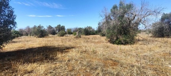 Land in Ugento, Italy No. 342905 17