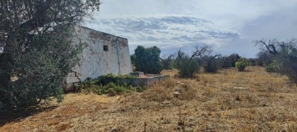 Land in Ugento, Italy No. 342905 5