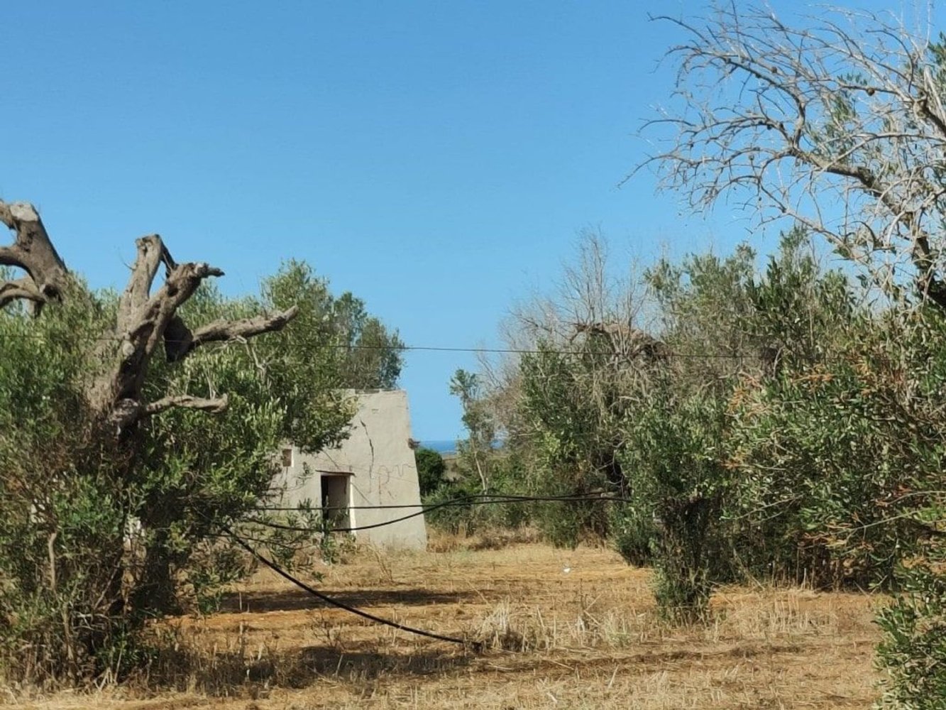  Land in Ugento, Italy No. 342905