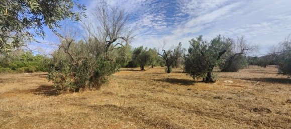 Land in Ugento, Italy No. 342905 21