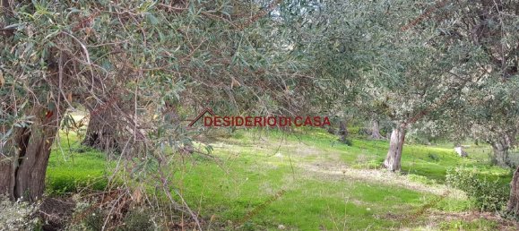 Grundstück in Termini Imerese, Italy 1950m², Nr. 134767 8