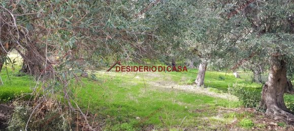 Grundstück in Termini Imerese, Italy 1950m², Nr. 134767 7