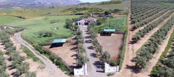 4 Schlafzimmer Haus in Alora, Spain, Nr. 47825 31