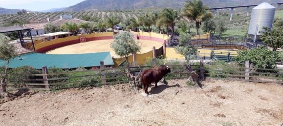 4 Schlafzimmer Haus in Alora, Spain, Nr. 47825 32