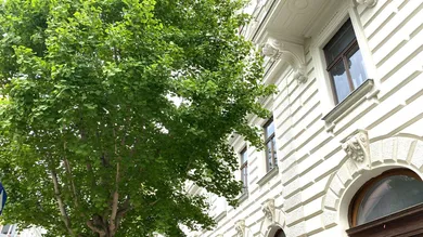 Квартира с 4 комнатами в Мариахильф, Австрия № 172104