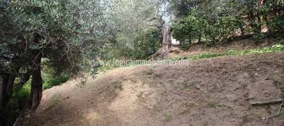 3 Schlafzimmer Villa in Chiusi, Italy, Nr. 89622 24