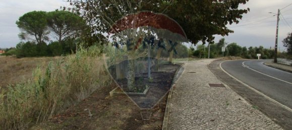 743m² Land in Cartaxo, Portugal No. 94956 8