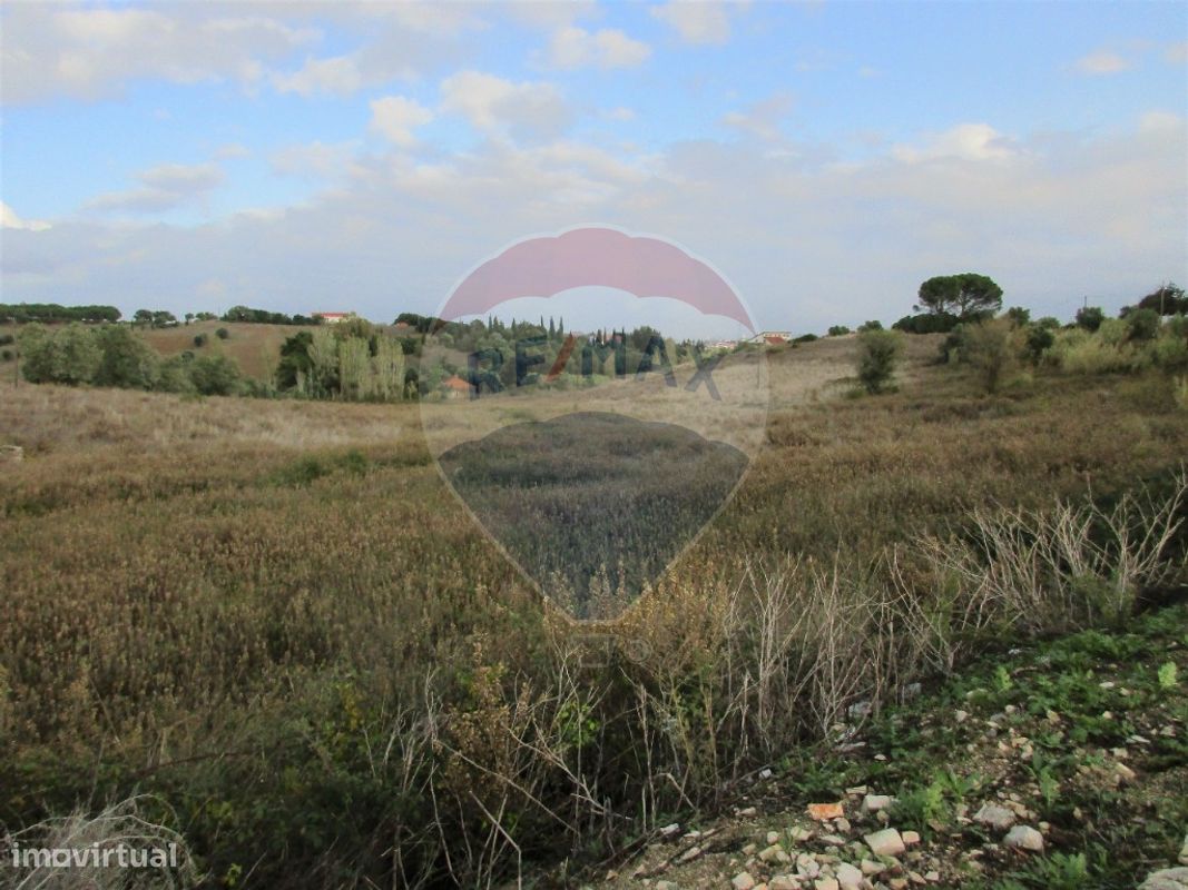 743m² Land in Cartaxo, Portugal No. 94956