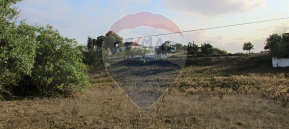 743m² Land in Cartaxo, Portugal No. 94956 9