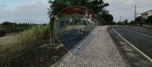 743m² Land in Cartaxo, Portugal No. 94956 7