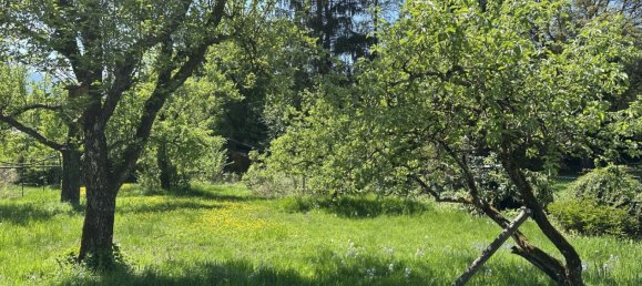 Земельный участок в Зальцбург, Австрия № 127398 2