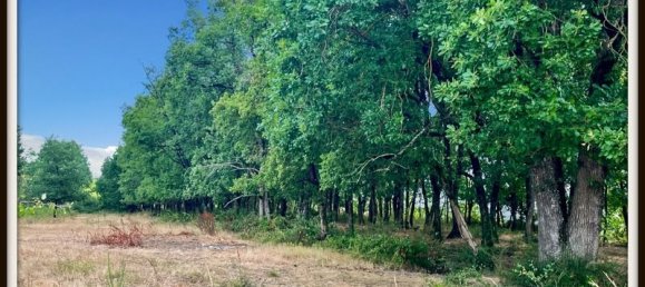 Casa de 3 dormitorios en Tarn-et-Garonne, France No. 293652 27