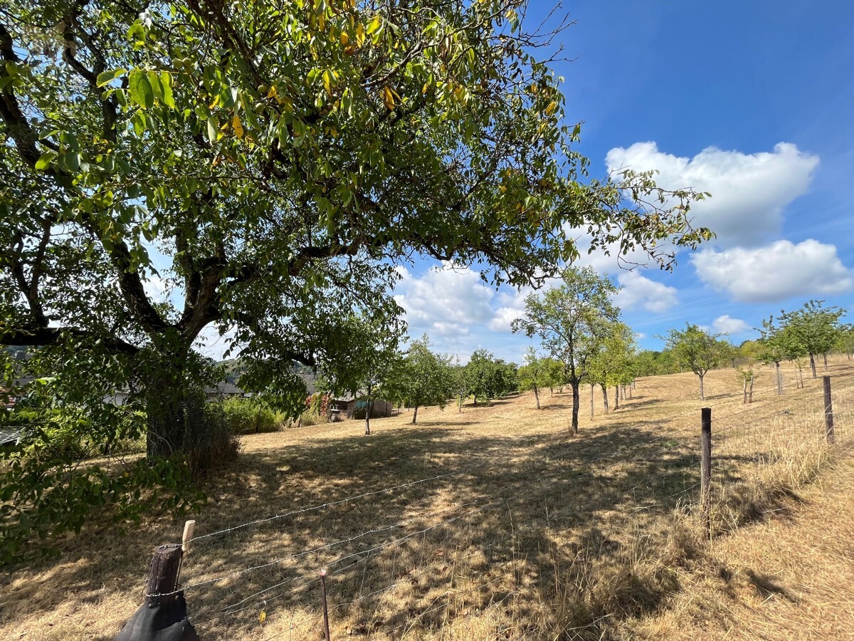 Grundstück in Bernkastel-Wittlich, Germany, Nr. 164098