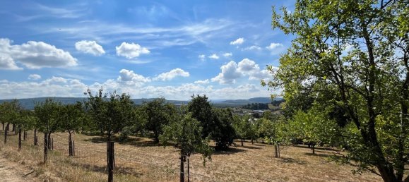 Grundstück in Bernkastel-Wittlich, Germany, Nr. 164098 2