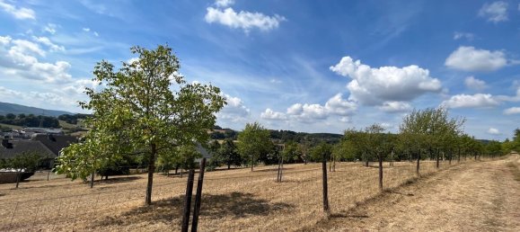 Grundstück in Bernkastel-Wittlich, Germany, Nr. 164098 3