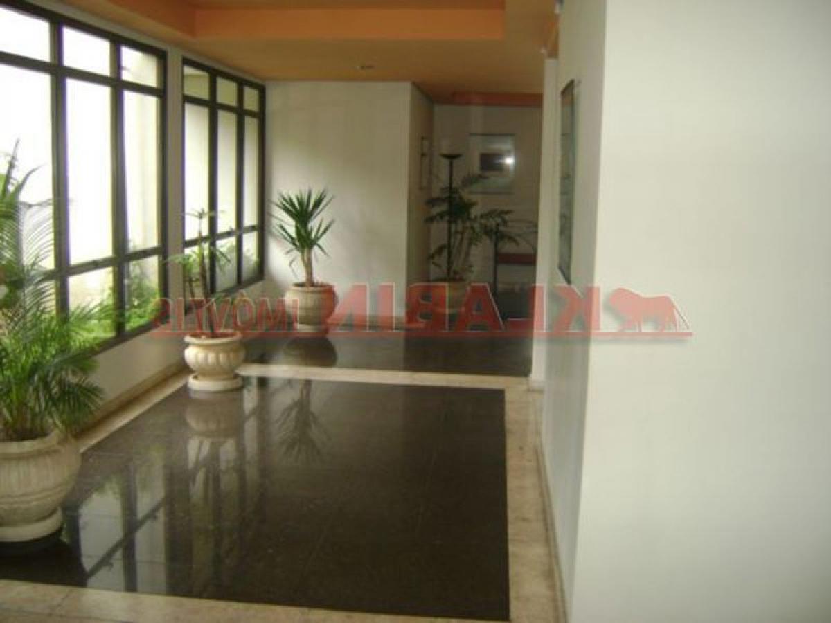 3 Schlafzimmer Wohnung in Sao Paulo, Brazil, Nr. 559305