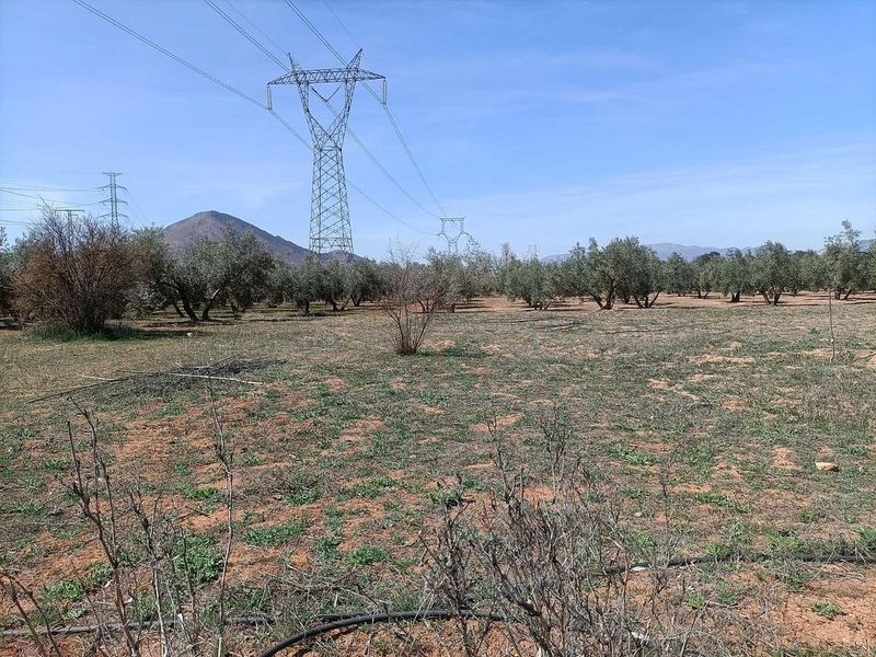 4337m² Land in Albolote, Spain No. 220291