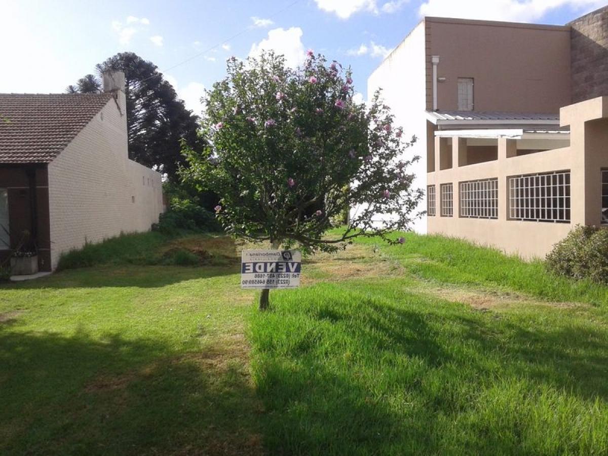 Terrain à Mar del Plata, Argentina No. 114004