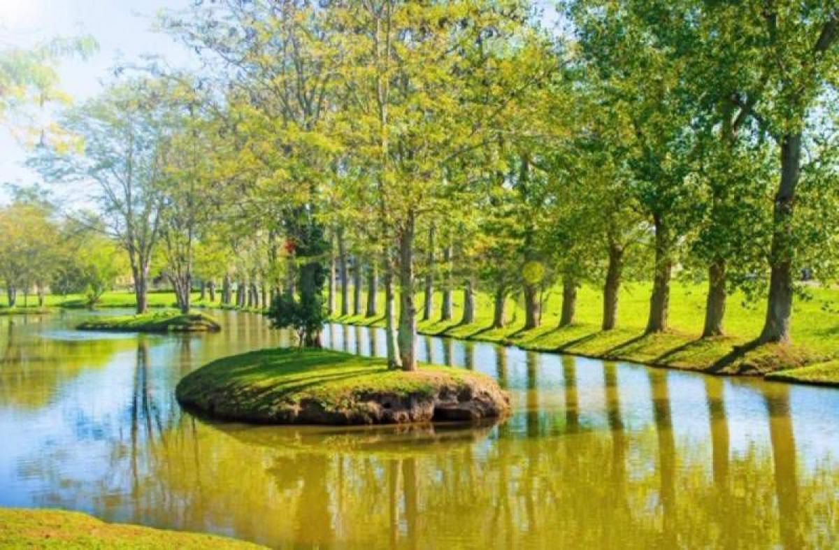  قطعة أرض في Berazategui, Argentina رقم 45424