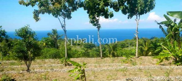 Terreno em Nusa Penida, Indonesia 25800 m² N.º 3828 10