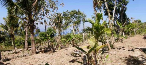 Terreno em Nusa Penida, Indonesia 25800 m² N.º 3828 7