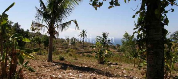 Terreno em Nusa Penida, Indonesia 25800 m² N.º 3828 6