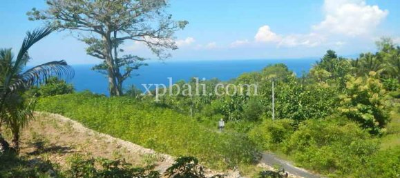 Terreno em Nusa Penida, Indonesia 25800 m² N.º 3828 2