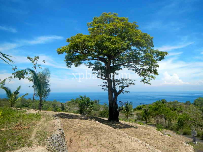 Terreno em Nusa Penida, Indonesia 25800 m² N.º 3828