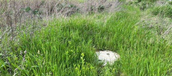  قطعة أرض في Bad Sauerbrunn, Austria رقم 162766 5