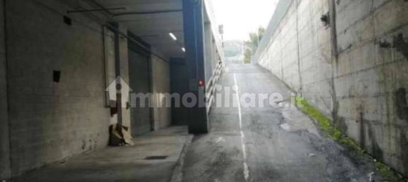 5-salle Entrepôt à Taggia, Italy No. 210759 3