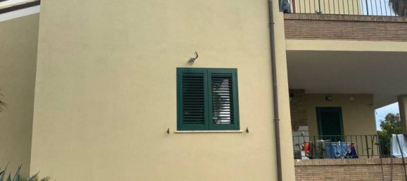 8-Zimmer Villa in Vasto, Italy, Nr. 155847 20