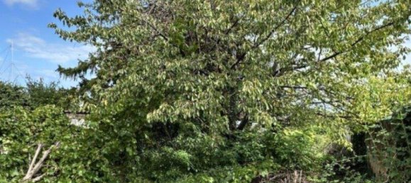 3-salle Maison à Klingenbach, Austria No. 249131 21