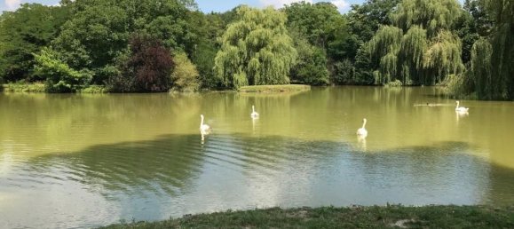 11 bedrooms Castles in Tournon-Saint-Pierre, France No. 67998 58